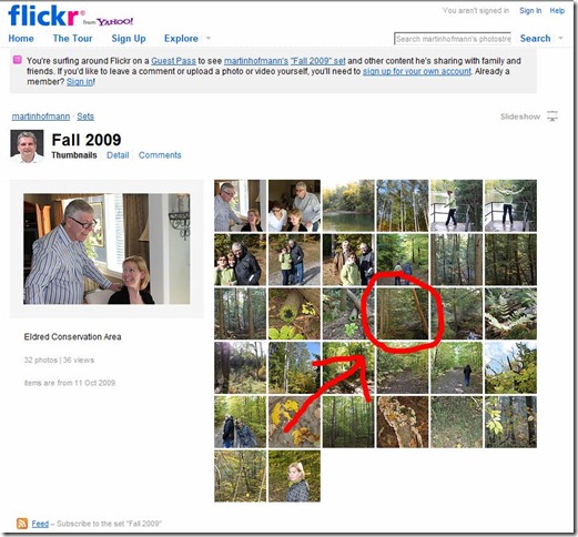 Downloading photos from a Flickr Guest Pass page